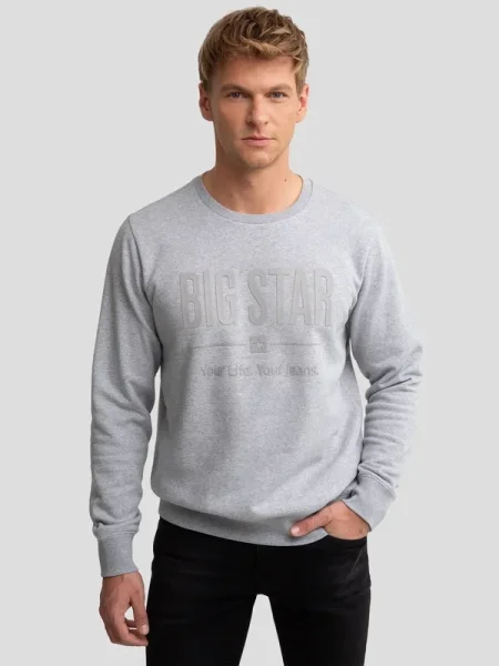Men's printed sweatshirt Ecodort